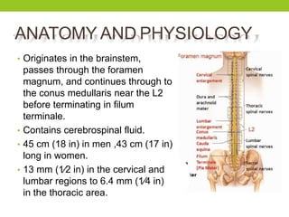 ANATOMY AND PHYSIOLOGY
• Originates in the brainstem,
passes through the foramen
magnum, and continues through to
the conus medullaris near the L2
before terminating in filum
terminale.
• Contains cerebrospinal fluid.
• 45 cm (18 in) in men ,43 cm (17 in)
long in women.
• 13 mm (1⁄2 in) in the cervical and
lumbar regions to 6.4 mm (1⁄4 in)
in the thoracic area.
 