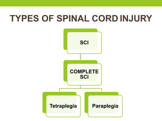 TYPES OF SPINAL CORD INJURY
SCI
COMPLETE
SCI
Tetraplegia Paraplegia
 