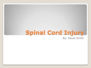 Spinal Cord Injury
           By: David Smith
 