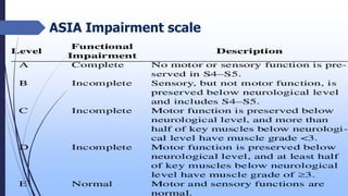 Spinal cord injury [recovered] | PPTX
