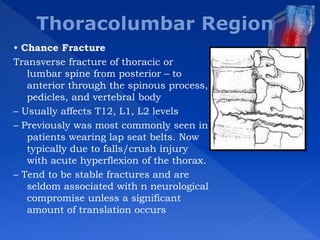 Spinal cord injury rehabilitation | PPTX