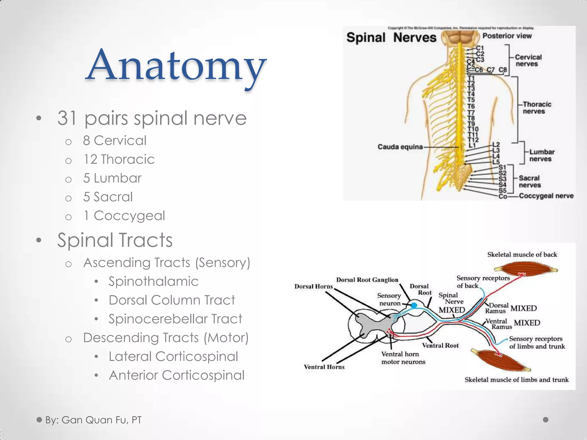 Spinal cord injury (sci) Rehab | PPTX