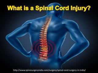 http://www.spinesurgeryindia.com/surgery/spinal-cord-surgery-in-india/ 
 