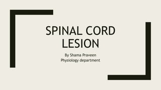 SPINAL CORD
LESION
By Shama Praveen
Physiology department
 