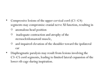 Cst Compression Injury Spinal cord injury2 ,disease and other chronic lower extremity ...