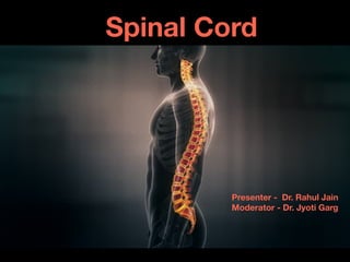 Spinal Cord
Presenter - Dr. Rahul Jain
Moderator - Dr. Jyoti Garg
 