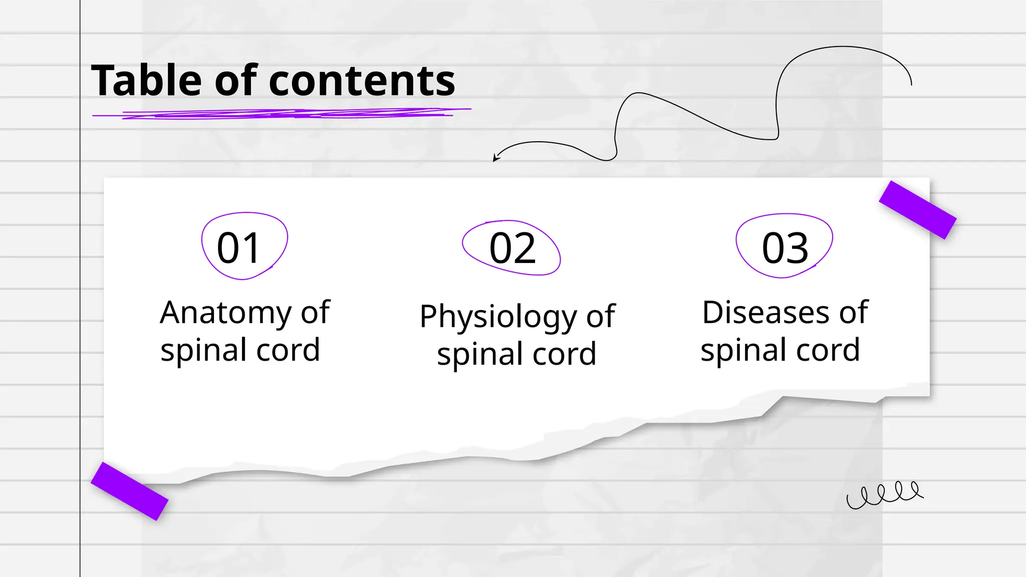 spinal cord anatomy and spinal cord physiology | PPTX