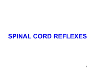 SPINAL CORD REFLEXES



                   1
 