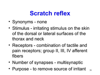 Scratch reflex
• Synonyms - none
• Stimulus - irritating stimulus on the skin
  of the dorsal or lateral surfaces of the
  thorax and neck
• Receptors - combination of tactile and
  pain receptors; group II, III, IV afferent
  fibers
• Number of synapses - multisynaptic
• Purpose - to remove source of irritant 30
 