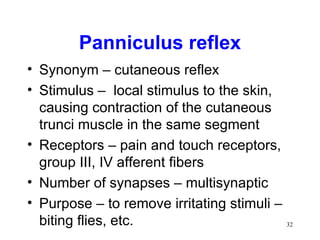Panniculus reflex
• Synonym – cutaneous reflex
• Stimulus – local stimulus to the skin,
  causing contraction of the cutaneous
  trunci muscle in the same segment
• Receptors – pain and touch receptors,
  group III, IV afferent fibers
• Number of synapses – multisynaptic
• Purpose – to remove irritating stimuli –
  biting flies, etc.                         32
 