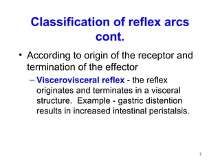 Classification of reflex arcs
              cont.
• According to origin of the receptor and
  termination of the effector
  – Viscerovisceral reflex - the reflex
    originates and terminates in a visceral
    structure. Example - gastric distention
    results in increased intestinal peristalsis.



                                                   7
 