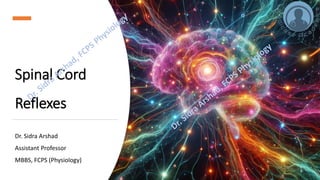 Motor Functions of the Spinal Cord - Spinal Cord Reflexes | PDF