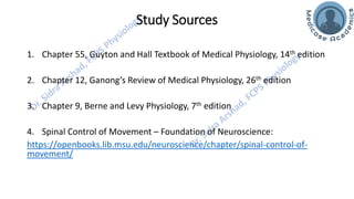 Motor Functions of the Spinal Cord - Spinal Cord Reflexes | PDF