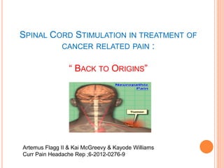 Chronic pain solution: Spinal cord stimulators (SCS) versus scrambler  therapy