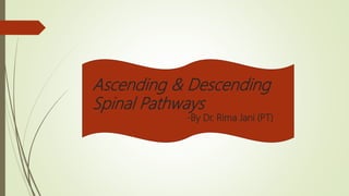 Ascending & Descending
Spinal Pathways
-By Dr. Rima Jani (PT)
 