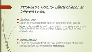 Tracts of Spinal Cord | Spinal Pathways | PPTX