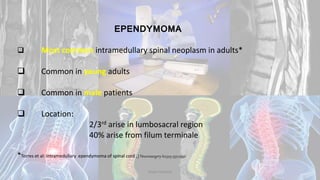 EPENDYMOMA
 Most common intramedullary spinal neoplasm in adults*
 Common in young adults
 Common in male patients
 Location:
2/3rd arise in lumbosacral region
40% arise from filum terminale
*Torres et al: Intramedullary ependymoma of spinal cord , J Neurosurgery 62;523-532;1992
Dodul Mondal
 