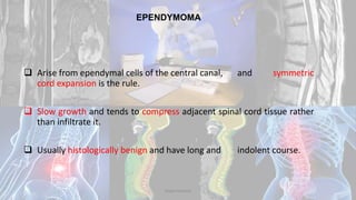  Arise from ependymal cells of the central canal, and symmetric
cord expansion is the rule.
 Slow growth and tends to compress adjacent spinal cord tissue rather
than infiltrate it.
 Usually histologically benign and have long and indolent course.
EPENDYMOMA
Dodul Mondal
 