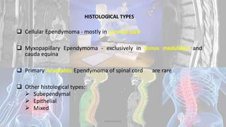 HISTOLOGICAL TYPES
 Cellular Ependymoma - mostly in cervical cord
 Myxopapillary Ependymoma - exclusively in conus medullaris and
cauda equina
 Primary Anaplastic Ependymoma of spinal cord are rare
 Other histological types:
 Subependymal
 Epithelial
 Mixed
Dodul Mondal
 