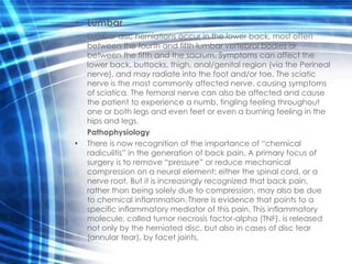 • Lumbar
    Lumbar disc herniations occur in the lower back, most often
    between the fourth and fifth lumbar vertebral bodies or
    between the fifth and the sacrum. Symptoms can affect the
    lower back, buttocks, thigh, anal/genital region (via the Perineal
    nerve), and may radiate into the foot and/or toe. The sciatic
    nerve is the most commonly affected nerve, causing symptoms
    of sciatica. The femoral nerve can also be affected and cause
    the patient to experience a numb, tingling feeling throughout
    one or both legs and even feet or even a burning feeling in the
    hips and legs.
    Pathophysiology
•   There is now recognition of the importance of “chemical
    radiculitis” in the generation of back pain. A primary focus of
    surgery is to remove “pressure” or reduce mechanical
    compression on a neural element: either the spinal cord, or a
    nerve root. But it is increasingly recognized that back pain,
    rather than being solely due to compression, may also be due
    to chemical inflammation. There is evidence that points to a
    specific inflammatory mediator of this pain. This inflammatory
    molecule, called tumor necrosis factor-alpha (TNF), is released
    not only by the herniated disc, but also in cases of disc tear
    (annular tear), by facet joints,
 