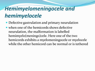 Hemimyelomeningocele and
hemimyelocele
 Defective gastrulation and primary neurulation
 when one of the hemicords shows defective
neurulation, the malformation is labelled
hemimyelo(meningo)cele. Here one of the two
hemicords exhibits a myelomeningocele or myelocele
while the other hemicord can be normal or is tethered
 