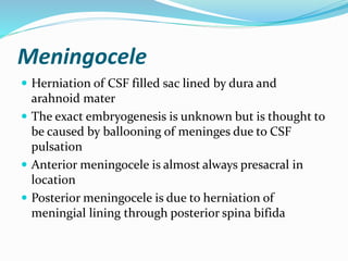 Meningocele
 Herniation of CSF filled sac lined by dura and
arahnoid mater
 The exact embryogenesis is unknown but is thought to
be caused by ballooning of meninges due to CSF
pulsation
 Anterior meningocele is almost always presacral in
location
 Posterior meningocele is due to herniation of
meningial lining through posterior spina bifida
 
