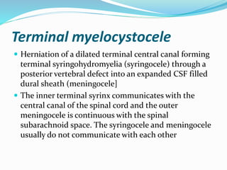 Terminal myelocystocele
 Herniation of a dilated terminal central canal forming
terminal syringohydromyelia (syringocele) through a
posterior vertebral defect into an expanded CSF filled
dural sheath (meningocele]
 The inner terminal syrinx communicates with the
central canal of the spinal cord and the outer
meningocele is continuous with the spinal
subarachnoid space. The syringocele and meningocele
usually do not communicate with each other
 