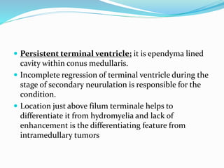  Persistent terminal ventricle; it is ependyma lined
cavity within conus medullaris.
 Incomplete regression of terminal ventricle during the
stage of secondary neurulation is responsible for the
condition.
 Location just above filum terminale helps to
differentiate it from hydromyelia and lack of
enhancement is the differentiating feature from
intramedullary tumors
 