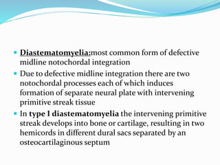  Diastematomyelia:most common form of defective
midline notochordal integration
 Due to defective midline integration there are two
notochordal processes each of which induces
formation of separate neural plate with intervening
primitive streak tissue
 In type I diastematomyelia the intervening primitive
streak develops into bone or cartilage, resulting in two
hemicords in different dural sacs separated by an
osteocartilaginous septum
 