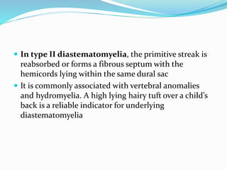  In type II diastematomyelia, the primitive streak is
reabsorbed or forms a fibrous septum with the
hemicords lying within the same dural sac
 It is commonly associated with vertebral anomalies
and hydromyelia. A high lying hairy tuft over a child’s
back is a reliable indicator for underlying
diastematomyelia
 