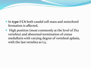  In type I CA both caudal cell mass and notochord
formation is affected,
 High position (most commonly at the level of D12
vertebra) and abnormal termination of conus
medullaris with varying degree of vertebral aplasia,
with the last vertebra as L5.
 