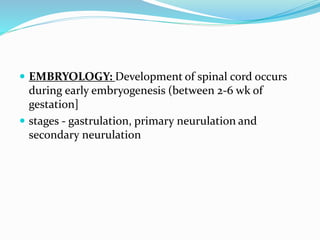  EMBRYOLOGY: Development of spinal cord occurs
during early embryogenesis (between 2-6 wk of
gestation]
 stages - gastrulation, primary neurulation and
secondary neurulation
 