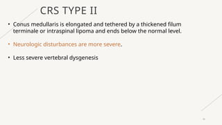 Comprehensive Overview of Spinal Dysraphism: Diagnosis and ...