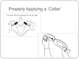 Properly Applying a ‘Collar’
 