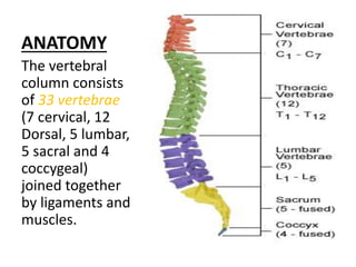 ANATOMY
The vertebral
column consists
of 33 vertebrae
(7 cervical, 12
Dorsal, 5 lumbar,
5 sacral and 4
coccygeal)
joined together
by ligaments and
muscles.
 