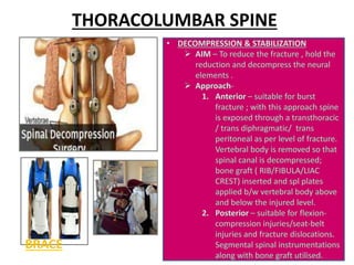 THORACOLUMBAR SPINE
BRACE
 