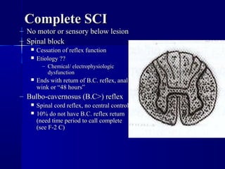 CCoommpplleettee SSCCII 
– NNoo mmoottoorr oorr sseennssoorryy bbeellooww lleessiioonn 
– SSppiinnaall bblloocckk 
 CCeessssaattiioonn ooff rreefflleexx ffuunnccttiioonn 
 EEttiioollooggyy ???? 
– CChheemmiiccaall// eelleeccttrroopphhyyssiioollooggiicc 
ddyyssffuunnccttiioonn 
 EEnnddss wwiitthh rreettuurrnn ooff BB..CC.. rreefflleexx,, aannaall 
wwiinnkk oorr ““4488 hhoouurrss”” 
– BBuullbboo--ccaavveerrnnoossuuss ((BB..CC>>)) rreefflleexx 
 SSppiinnaall ccoorrdd rreefflleexx,, nnoo cceennttrraall ccoonnttrrooll 
 1100%% ddoo nnoott hhaavvee BB..CC.. rreefflleexx rreettuurrnn 
((nneeeedd ttiimmee ppeerriioodd ttoo ccaallll ccoommpplleettee 
((sseeee FF--22 CC)) 
 