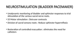 Comprehensive Overview of Spine Injuries and Bladder Dysfunction ...