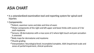 ASIA CHART
• Is a astandardized examination tool and reporting system for spinal cord
injuries:
• Components:
Patient, examiner name and date and time of exam
Motor components of the right and left upper and lower limbs with scores of 5 for
each myotome
Sensory: 28 dermatomes with a max score of 2 where light touch and pain sensation
is assessed
Body maps for dermatome and myotome
Muscle grading
Interpretation: Neurological level, Incomplete/complete, ASIA iimpairment scale and
zones of partial impairment, clinical syndrome
 