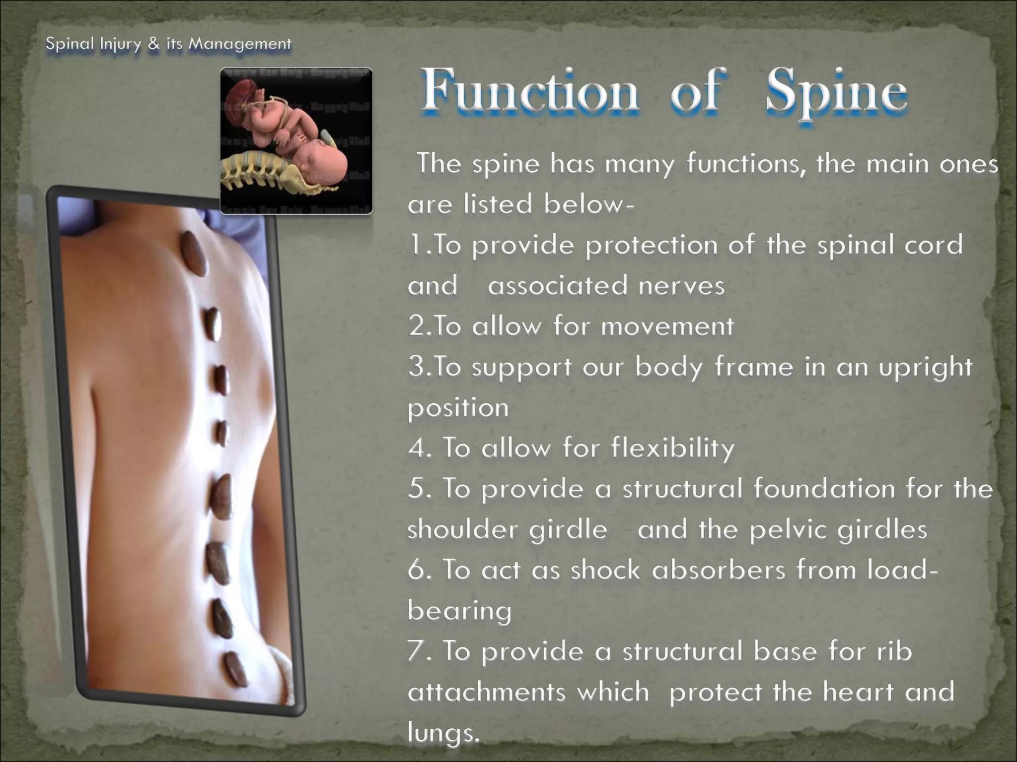 Spinal Injury & its Management




                                  The spine has many functions, the main ones
                                 are listed below-
                                 1.To provide protection of the spinal cord
                                 and associated nerves
                                 2.To allow for movement
                                 3.To support our body frame in an upright
                                 position
                                 4. To allow for flexibility
                                 5. To provide a structural foundation for the
                                 shoulder girdle and the pelvic girdles
                                 6. To act as shock absorbers from load-
                                 bearing
                                 7. To provide a structural base for rib
                                 attachments which protect the heart and
                                 lungs.
 