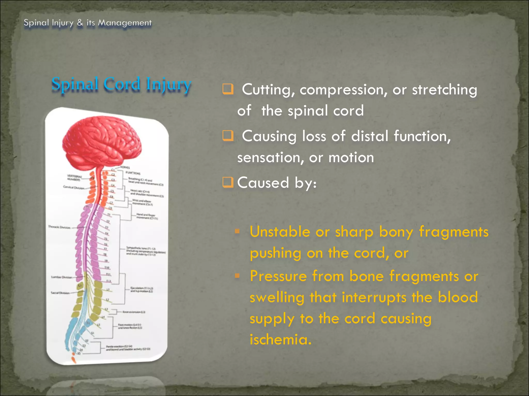Spinal Injury & its Management




      Spinal Cord Injury          Cutting, compression, or stretching
                                   of the spinal cord
                                  Causing loss of distal function,
                                   sensation, or motion
                                  Caused by:


                                   Unstable or sharp bony fragments
                                    pushing on the cord, or
                                   Pressure from bone fragments or
                                    swelling that interrupts the blood
                                    supply to the cord causing
                                    ischemia.
 