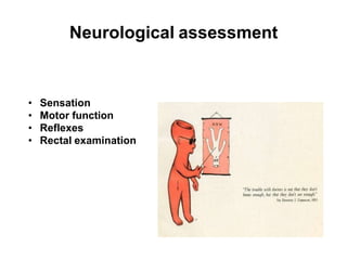 Neurological assessment
• Sensation
• Motor function
• Reflexes
• Rectal examination
 