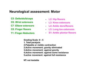 Neurological assessment: Motor
C5 :Deltoids/biceps
C6 :Wrist extensors
C7 :Elbow extensors
C8 :Finger flexors
T1 :Finger Abductors
 L2: Hip flexors
 L3: Knee extensors
 L4: Ankle dorsiflexors
 L5: Long toe extensors
 S1: Ankle plantar flexors
Grading Scale :0 - 5
1. Total paralysis
2.Palpable or visible contraction
2.Active movement; gravity eliminated
3.Active movement: against gravity
4.Active movement: against some resistance
5.active movement: against full resistance
NT: not testable
 