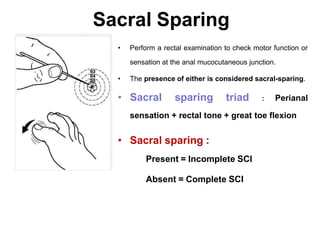 Sacral Sparing
• Perform a rectal examination to check motor function or
sensation at the anal mucocutaneous junction.
• The presence of either is considered sacral-sparing.
• Sacral sparing triad : Perianal
sensation + rectal tone + great toe flexion
• Sacral sparing :
Present = Incomplete SCI
Absent = Complete SCI
 