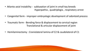 • Atlanto axial instability - subluxation of joint in small toy breeds
Hyperpathia , quadriplegia , respiratory arrest
• Congenital form - improper embryologic development of odontoid process
• Traumatic form - Bending force & displacement to cervical region
Translational & articular displacement of joint
• Hemilaminectomy : Craniolateral lamina of C2 & caudolateral of C1
 