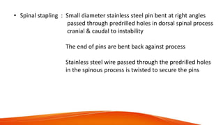 • Spinal stapling : Small diameter stainless steel pin bent at right angles
passed through predrilled holes in dorsal spinal process
cranial & caudal to instability
The end of pins are bent back against process
Stainless steel wire passed through the predrilled holes
in the spinous process is twisted to secure the pins
 