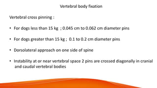 Vertebral body fixation
Vertebral cross pinning :
• For dogs less than 15 kg ; 0.045 cm to 0.062 cm diameter pins
• For dogs greater than 15 kg ; 0.1 to 0.2 cm diameter pins
• Dorsolateral approach on one side of spine
• Instability at or near vertebral space 2 pins are crossed diagonally in cranial
and caudal vertebral bodies
 