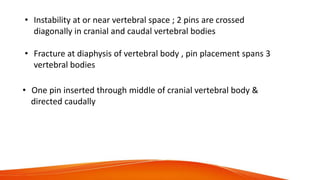 • Instability at or near vertebral space ; 2 pins are crossed
diagonally in cranial and caudal vertebral bodies
• Fracture at diaphysis of vertebral body , pin placement spans 3
vertebral bodies
• One pin inserted through middle of cranial vertebral body &
directed caudally
 
