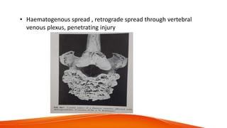 • Haematogenous spread , retrograde spread through vertebral
venous plexus, penetrating injury
 