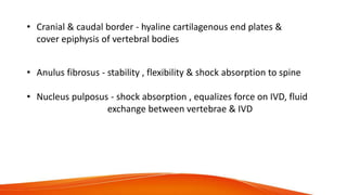 • Anulus fibrosus - stability , flexibility & shock absorption to spine
• Nucleus pulposus - shock absorption , equalizes force on IVD, fluid
exchange between vertebrae & IVD
• Cranial & caudal border - hyaline cartilagenous end plates &
cover epiphysis of vertebral bodies
 